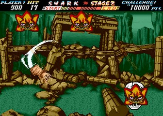 image de The First Funky Fighter